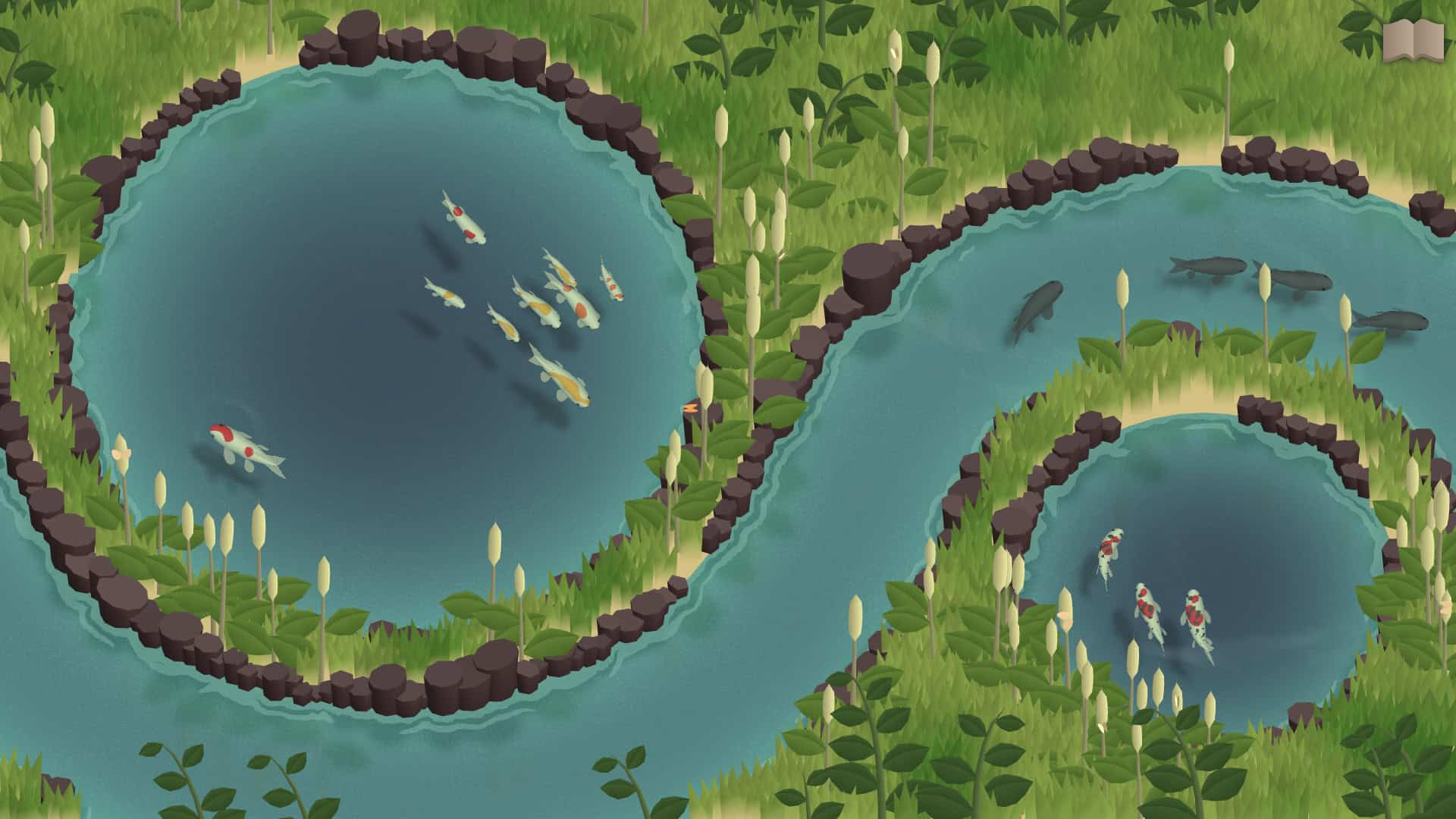 锦鲤养殖场/Koi Farm-次元集