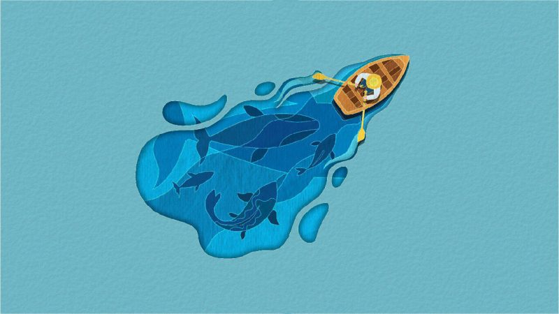 剪纸美术馆-自然/Papercut Art Gallery-Nature-次元集