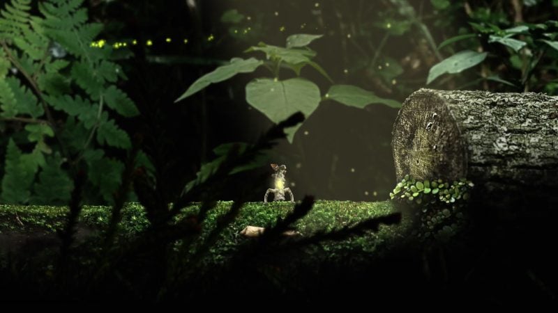 幼苗/Seedlings-次元集