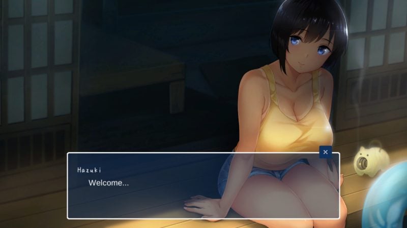 夏日乡村生活〜愉快的暑假/Summer~Life in the Countryside~-次元集