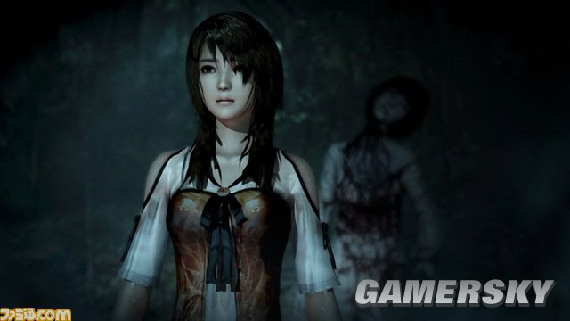 零：濡鸦之巫女/Fatal Frame: The Black Haired Shrine Maiden-次元集