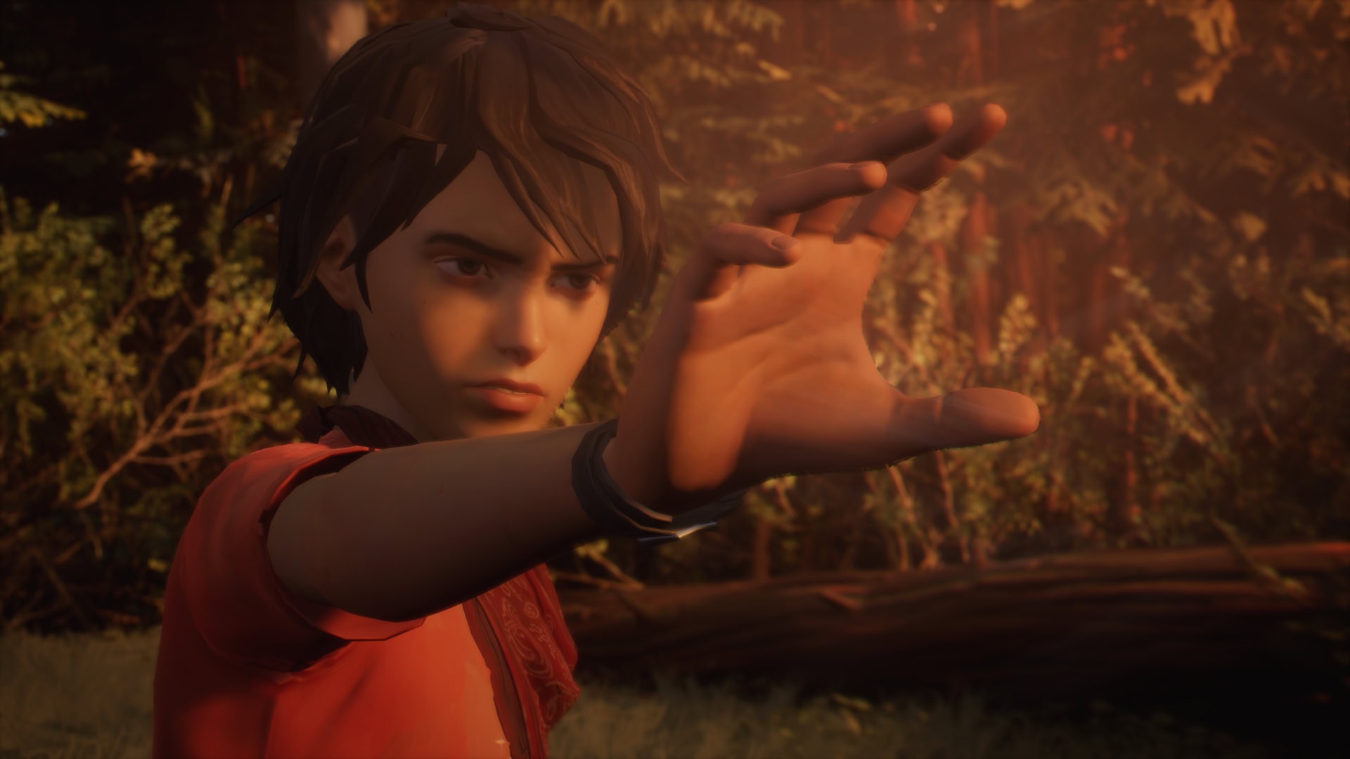 奇异人生2/Life is Strange 2-次元集