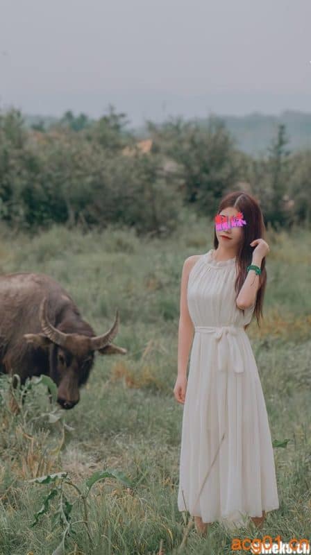 [合集打包]無塵写真图集合集资源打包下载+持续更新-次元集