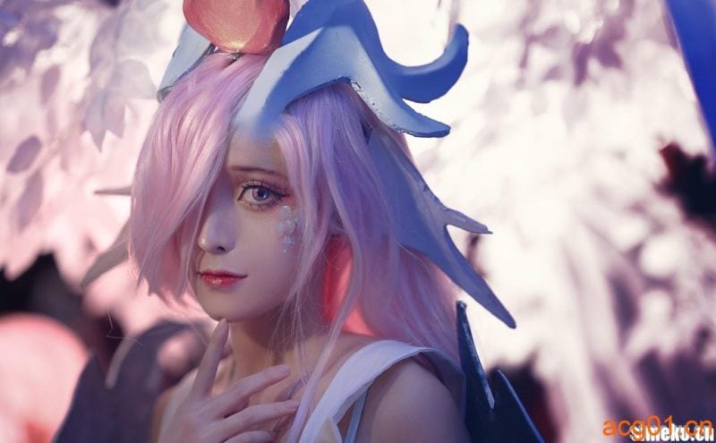 [合集打包]奶狮不咬人美女写真图集合集打包下载+持续更新-次元集