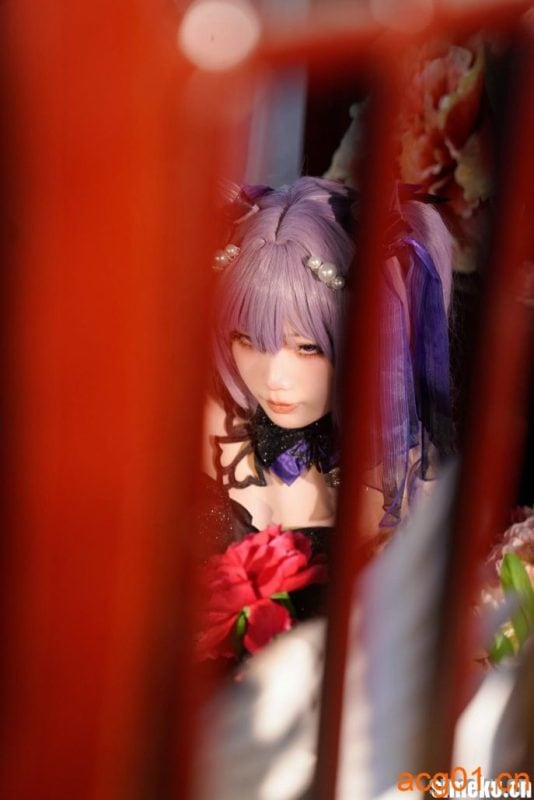 [合集打包]刺猬小姐COS写真合集打包下载+持续更新-次元集