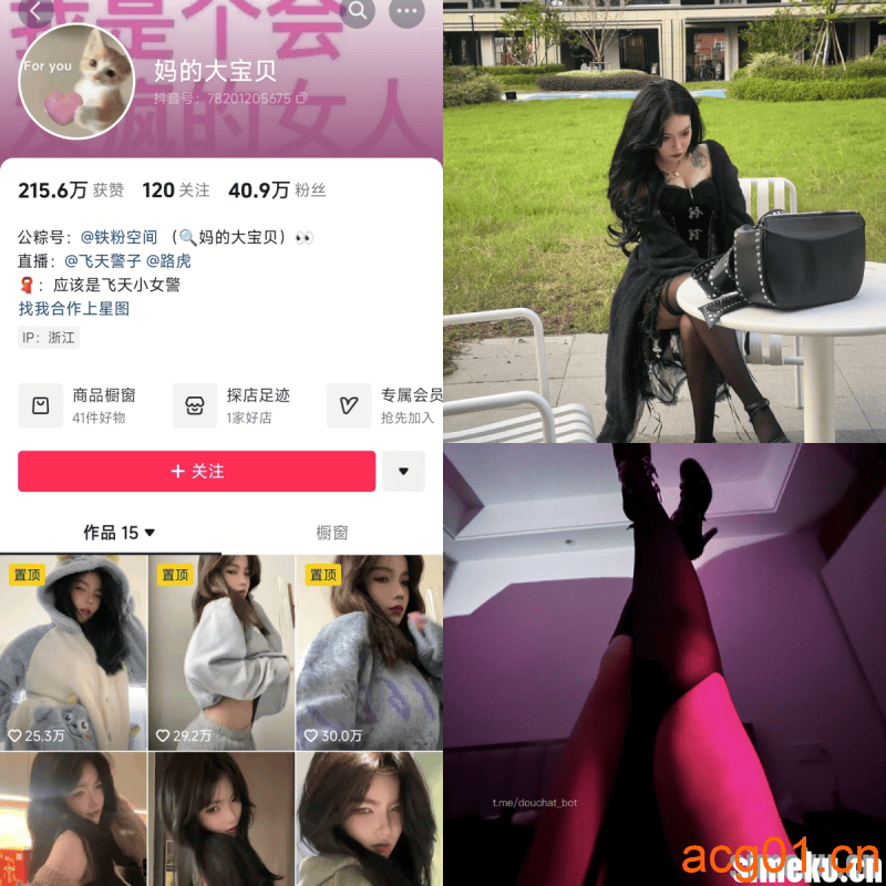 [合集打包]妈的大宝贝/飞天小女警铁粉空间最新付费作品合集完整版打包下载+持续更新-次元集
