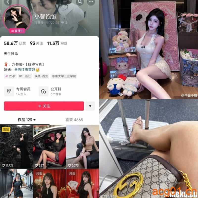 [合集打包]抖音小馨饱饱/牛金小姚/机智小森微密圈最新付费作品合集完整版打包下载+持续更新-次元集