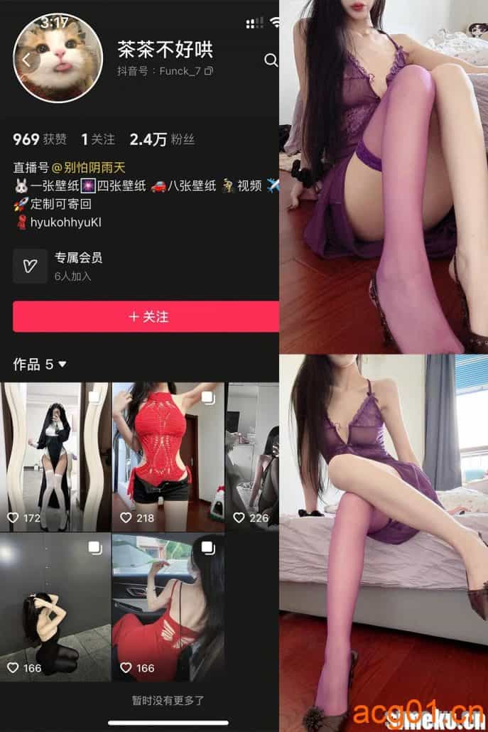 [合集打包]抖音茶茶不好哄微密圈最新付费作品合集完整版打包下载+持续更新-次元集