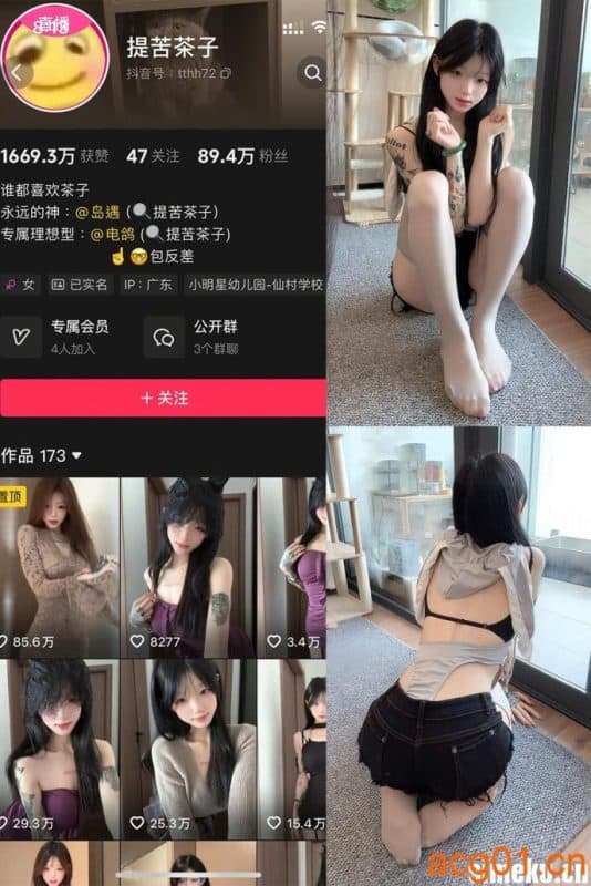 [合集打包]抖音提苦茶子岛遇付费图集视频作品合集打包下载+持续更新-次元集