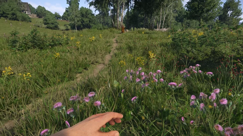 【天国拯救2】第一人称采集草药 – 已更新-n网ID2688-次元集