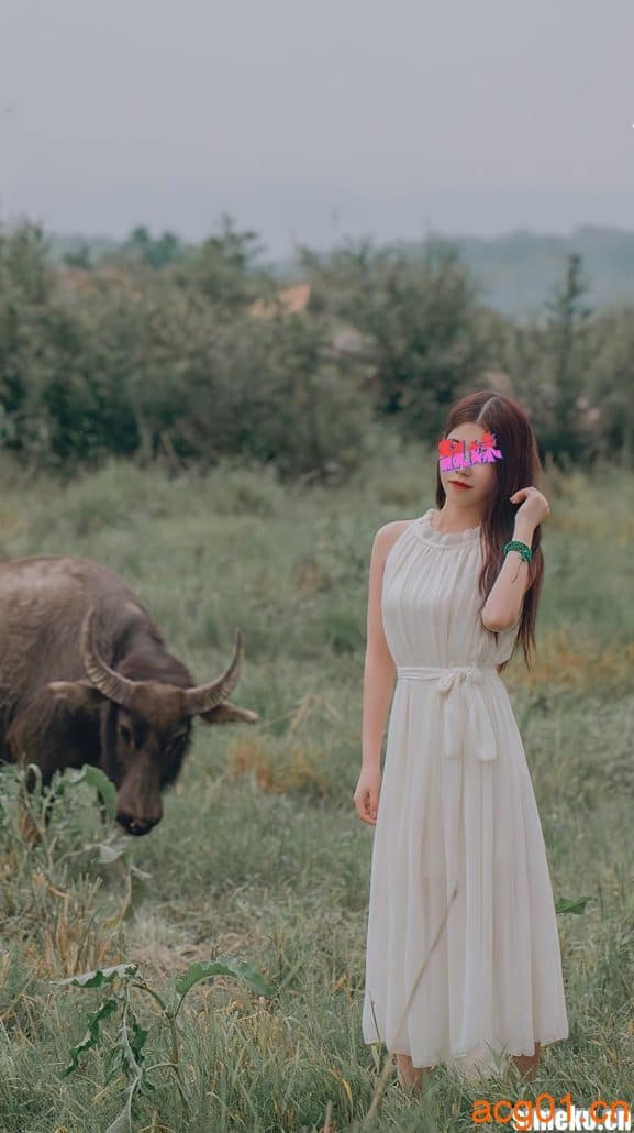 [合集打包]無塵写真图集合集资源打包下载+持续更新