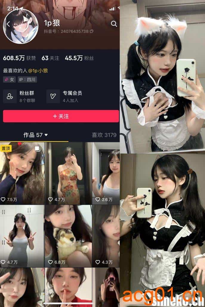 [合集打包]1p狼/狼姐很赞微密圈照片视频觅圈合集打包下载+持续更新