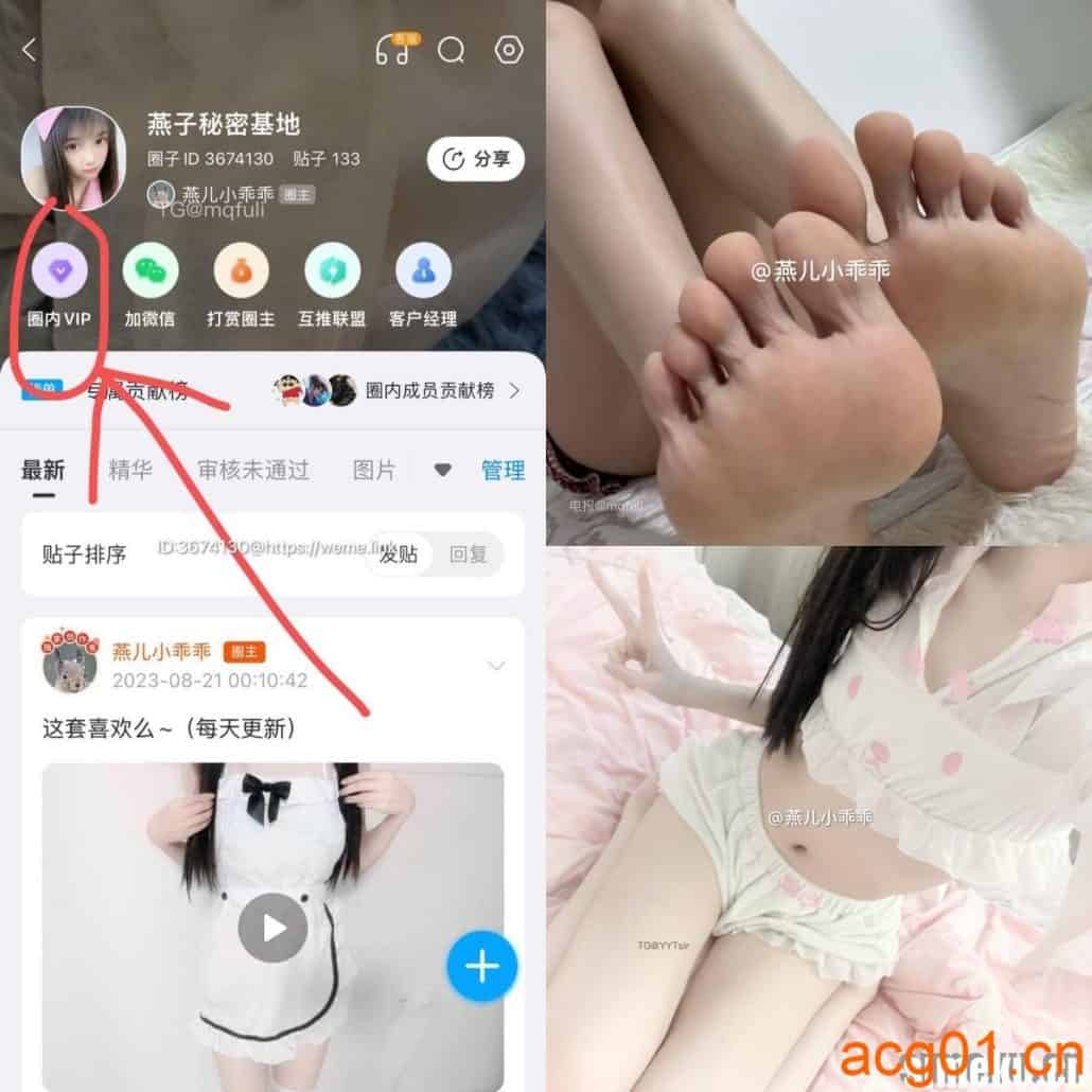 [合集打包]燕儿小乖乖/燕子秘密基地微密圈最新付费作品合集完整版打包下载+持续更新-次元集