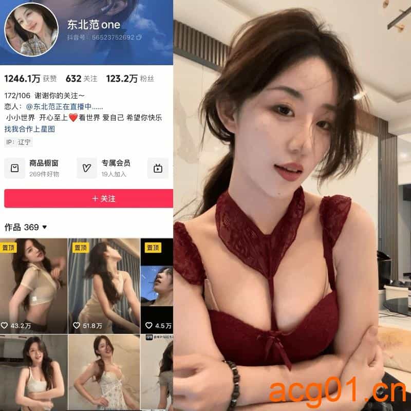 [岛遇合集]抖音小范范岛遇付费图集视频作品合集打包下载+持续更新-次元集